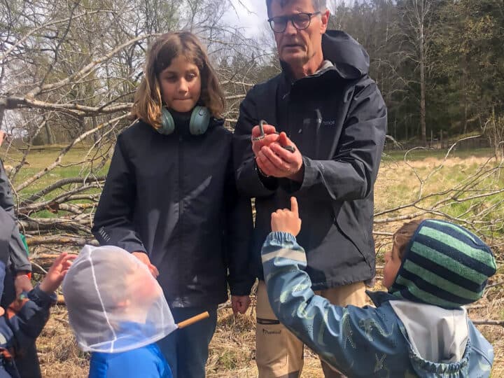 En liten snok beundras