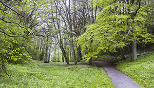 Naturpärlor – Naturskyddsföreningen i Lidingö Hustegaholm och Gråviken – Naturskyddsföreningen i Lidingö