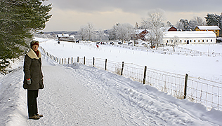 Naturpärlor – Naturskyddsföreningen i Lidingö Hustegaholm och Gråviken – Naturskyddsföreningen i Lidingö